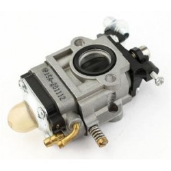 Carburator China - Gaura Mare (mc)