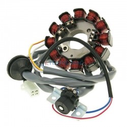 Magnetou April./piaggio 4t 50 - 12 Poli