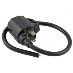 Cdi (bobina Inductie) Sukuzi/morini/april.