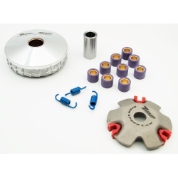 Variator Honda Dio 50 Af27/28