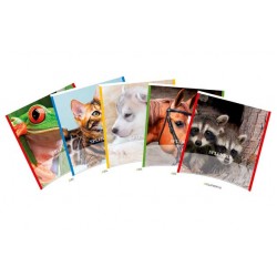 Caiet A5, 48 File - 80g/mp, Liniat Stanga, Coperta Imagini Cu Animale, Aurora Splendid - Dictando Caiet A5, 48 File - 80g/mp, Liniat Stanga, Coperta Imagini Cu Animale, Aurora Splendid - Dictando