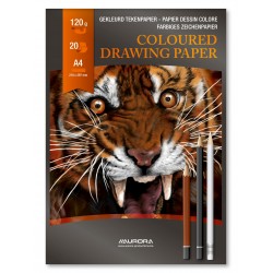 Bloc Desen A4, 20 File - 120g/mp, Aurora Raphael - Hartie 10 Culori Asortate