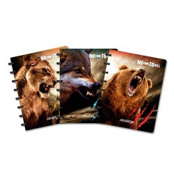 Caiet A4, 72 File - 90g/mp, Coperta Pp - No Time To Kill, Aurora Adoc Crea Collection - Dictando