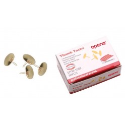 Pioneze Aurii, 50/cutie, Epene