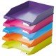 Tava Documente Han Standard Trend-colours - Roz