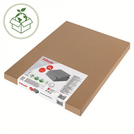 Cutie Depozitare Esselte Home Recycled, Carton, 36x26x10 Cm, Cu Capac, 3 Buc/set, Gri