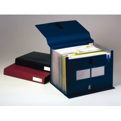 Mapa Cu Burduf Expandabil A4 Cu 12 Compartimente - Albastru