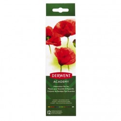 Set Acuarele Cu Pensula Derwent Academy, 12 Buc/set, Diverse Culori Set Acuarele Cu Pensula Derwent Academy, 12 Buc/set, Diverse Culori
