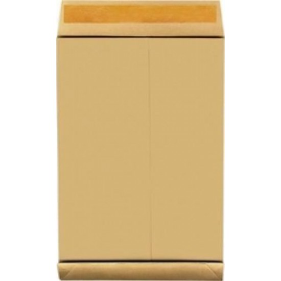 Plic B5 Kraft Siliconic Cu Burduf 20mm (176x250x20),10 Buc/set