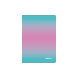 Caiet A6 Color Edition 80 File, Hartie 70g/mp, Patratele, Culoare Roz/menta