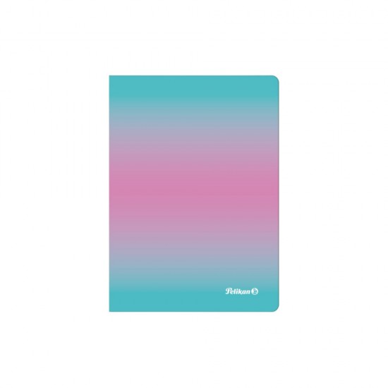 Caiet A6 Color Edition 80 File, Hartie 70g/mp, Patratele, Culoare Roz/menta