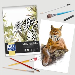 Bloc Desen Oxford Mix Media A4, 25 File, Hartie 225 G/mp, FscÂ® Mix70%, Colectia Artistic