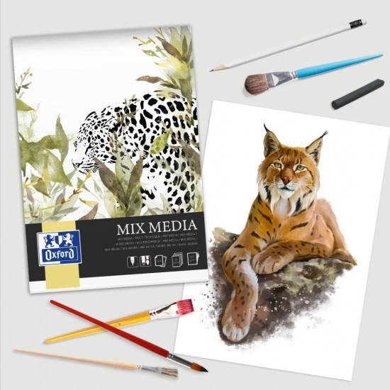 Bloc Desen Oxford Mix Media A4, 25 File, Hartie 225 G/mp, FscÂ® Mix70%, Colectia Artistic