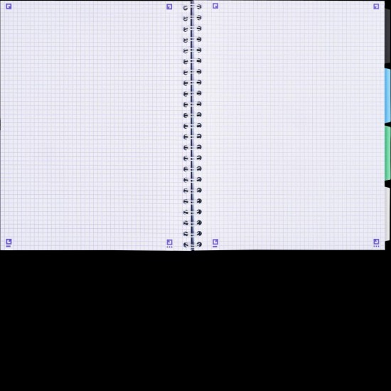 Caiet Organizator Oxford Project Book, A4 80f, Hartie Optik 90g/mp, Spira Dubla, Scribzee, Coperta Pp, Pefc, 4 Separatoare Colorate Repozitionabile, Microperforatii, Patratele, Gradient Classic Diverse Culori