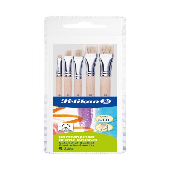 Set 5 Pensule Starter (seria 613f: 2, 4, 8, 10, 12), Prezentare Pe Blister