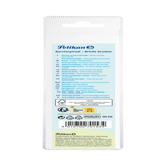 Set 5 Pensule Starter (seria 613f: 2, 4, 8, 10, 12), Prezentare Pe Blister