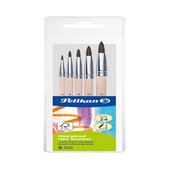 Set 5 Pensule Starter (seria 24: 2, 4, 8, 10, 12), Prezentare Pe Blister