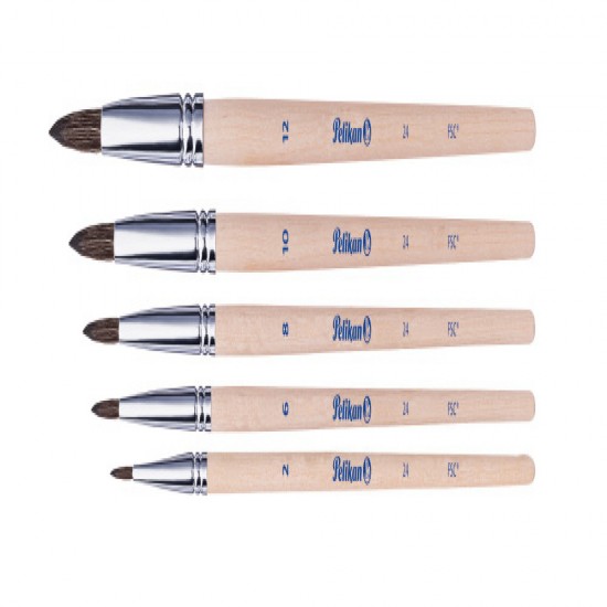 Set 5 Pensule Starter (seria 24: 2, 4, 8, 10, 12), Prezentare Pe Blister