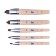 Set 5 Pensule Starter (seria 24: 2, 4, 8, 10, 12), Prezentare Pe Blister