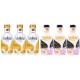 Pachet Promo: 3x Spumant De Baie Malizia Cu Miere Si Ghimbir 1l + 3x Spumant De Baie Malizia Orhidea & Ambra 1l