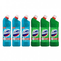 Pachet Promo:  3x Domestos Atlantic 750 Ml + 3x Domestos Pine 1 L