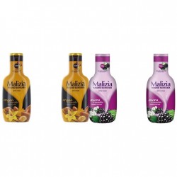 Pachet Promo: 2x Spumant De Baie Malizia Cu Ulei De Argan Si Vanilie + 2x Spumant De Baie Malizia Cu Mure Mora 1l