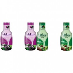 Pachet Promo: 2x Spumant De Baie Malizia Mure Mora  1l + 2x Spumant De Baie Malizia  Cu Pino 1l