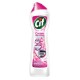 Pachet Promo: Solutie Cif Cream Pink Flower 500 Ml + Domestos White 750 Ml