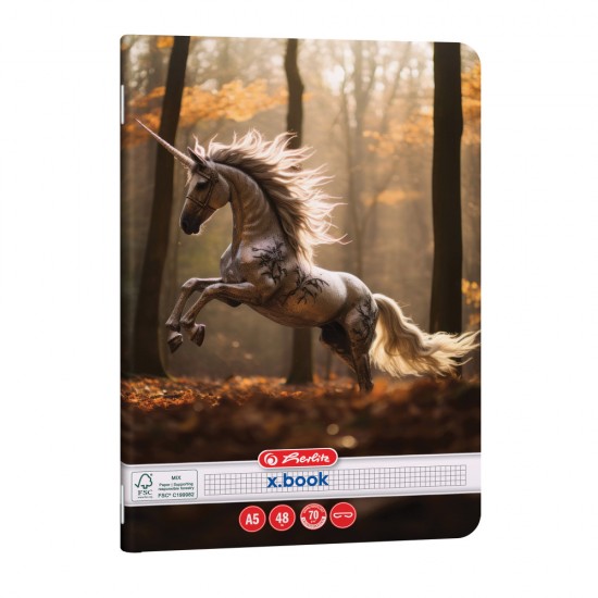 Caiet A5 48 File Patratele Unicorn