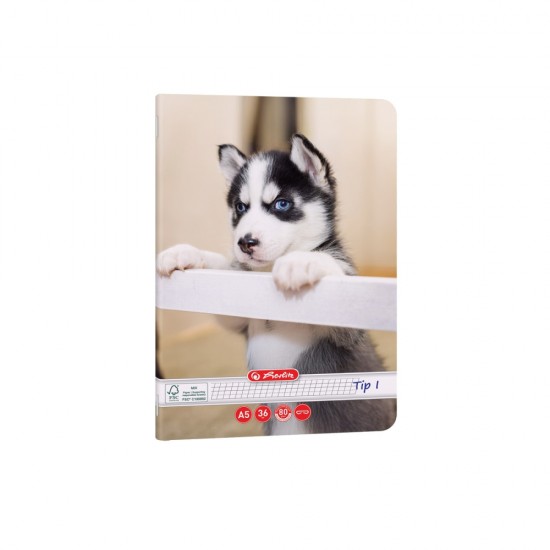 Caiet A5 36 File, Tip I, Hartie 80g/mp Fsc Mix, Motiv Cats   Dogs