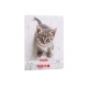 Caiet A5 36 File, Tip I, Hartie 80g/mp Fsc Mix, Motiv Cats   Dogs
