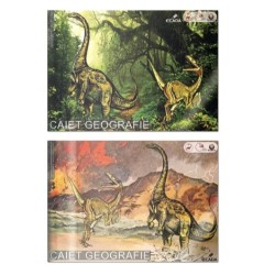 Caiet Geografie ECADA, 24 File, 17x24 cm, Coperta Policromie, Caiete Geografie, Caiet de Geografie, Caiete Scolare Geografie, Caiete de Geografie, Caiet Dictando Geografie, Caiet Ecada Geografie, Caiet Geografie 24 File