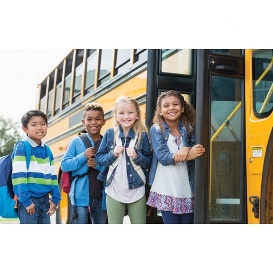 Socotitoare Lux Rio, 15.5x16 cm, Bile Colorate din Plastic, Rechizite Scolare, Accesorii Scoala, Scocotitoare Copii din Plastic, Rechizite Scolare si Papetarie, Socotitoare Plastic Ieftina, Socotitoare Clasica din Plastic, Socotitoare pentru Numarat