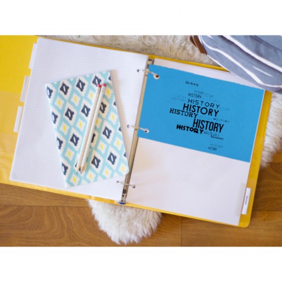 Set 100 Separatoare Carton Ecada pentru Documente, 10.5x24 cm, 160 g/mÂ², Portocalii, Separator pentru Documente, Separator Documente Carton, Separator Documente, Set Separator Documente