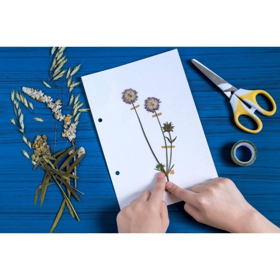 Ierbar Scolar Ecada, 30 Seturi, 70 g/mÂ², cu Snur, Ierbare Scoala, Ierbare Scolare, Ierbar pentru Scoala, Ierbar Ecada, Ierbar Plante, Ierbar pentru Frunze, Ierbar Plante Uscate, Mapa pentru Frunze Uscate, Caiet pentru Frunze Uscate, Caiet Ierbar