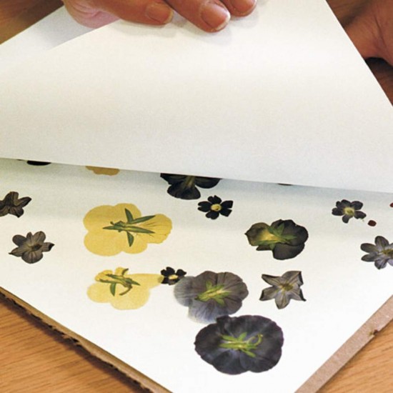 Ierbar Scolar Ecada, 30 Seturi, 70 g/mÂ², cu Snur, Ierbare Scoala, Ierbare Scolare, Ierbar pentru Scoala, Ierbar Ecada, Ierbar Plante, Ierbar pentru Frunze, Ierbar Plante Uscate, Mapa pentru Frunze Uscate, Caiet pentru Frunze Uscate, Caiet Ierbar