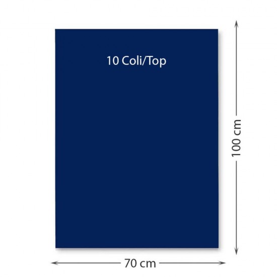 Hartie Cartonata FAVINI, Albastra Inchis, 70x100 cm, 10 Coli/Top, 220 g/mÂ², Carton Colorat, Carton Colorat 70x100, Hartie Cartonata Colorata, Hartie 70x100 Colorata, Coli Colorate, Top Hartie Cartonata, Coli Cartonate 70x100 cm, Hartie Cartonata Albastra