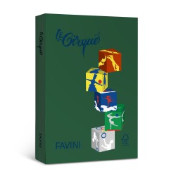 Carton Color 160g/mp A4 304 Verde Christmas Favini