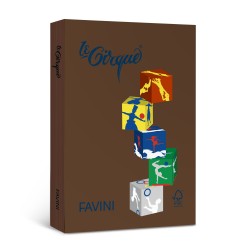Carton Color 160g/mp A4 301 Maro Ciocolata Favini