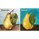 Bloc Desen Acuarela A3 Daco, 12 File, 300 g/mÂ², Bloc Hartie pentru Acuarele si Guase, Hartie Pentru Vopsele Acuarele, Bloc de Desen pentru Culori pe Baza de Apa, Bloc de Desen A3