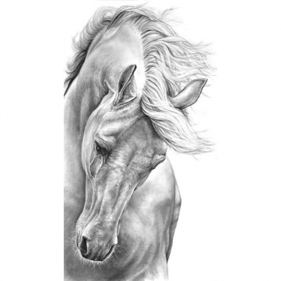 Set 72 Creioane Daco Udi, cu Radiera, Corp Diverse Culori