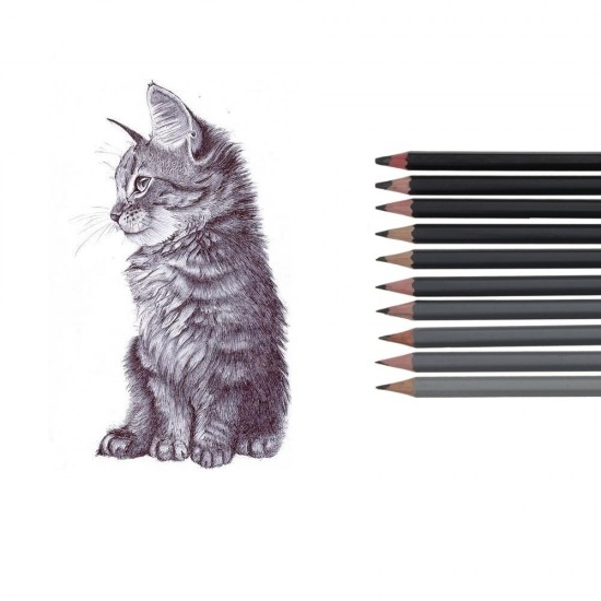 Set 12 Creioane DACO, Negre, din Lemn Hexagonal, Mina 10B, Creion 10B, Creioane 10B, Creion Daco 10B, Set Creioane 10B, Creion Negru Daco, Creion Negru Daco 10B, Creion Negru B, Creion Grafit Negru B, Instrumente de Scris