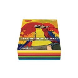 Hartie Cartonata A4 DACO, 250 File/Top, 160 g/mÂ², 10 Culori, 210x297 mm, Carton Colorat, Carton Colorat A4, Hartie Cartonata Colorata, Hartie A4 Colorata, Coli Colorate, Top Hartie Cartonata, Coli Cartonate A4, Hartie Cartonata 10 Culori