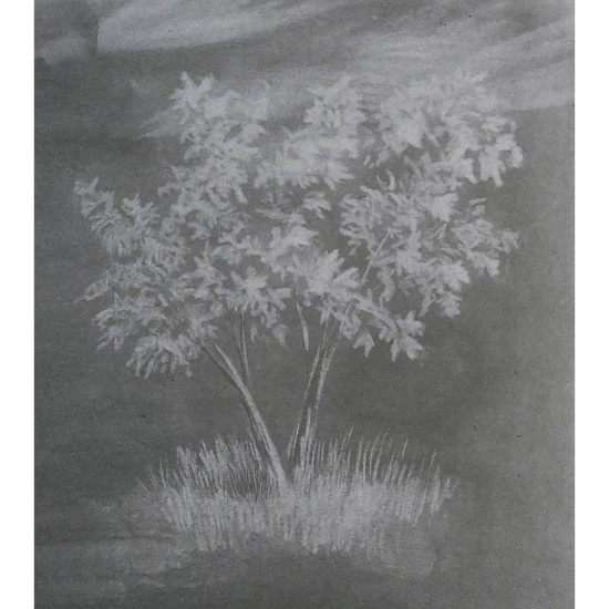 Radiera din Cauciuc Sintetic Flexibil Milan, 14x4.4x0.9 cm, Alb, cu Model, Radiera Creion, Radiera Creioane, Guma de Sters, Gume de Sters, Guma pentru Sters, Gume pentru Sters, Radiera de Sters, Radiere pentru Sters, Radiere Creioane