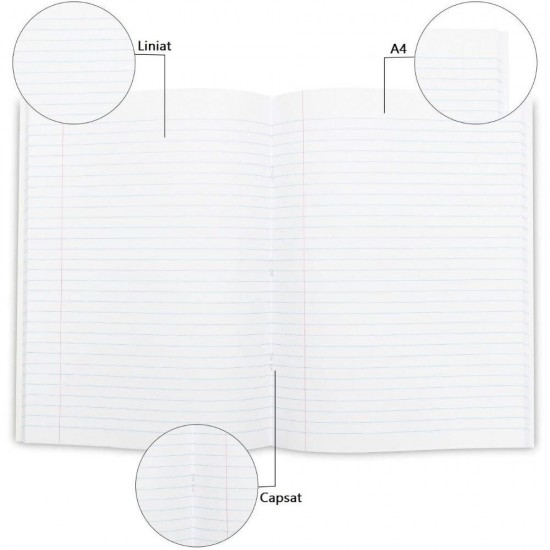 Caiet A4 Dictando DACO, 96 File, Spirala, 70 g/mÂ², Coperta Plastic, Caiete A4 Romana, Caiet Romana, Caiete Romana, Caiet Dictando, Caiete Studentesti, Caiete Dictando A4, Caiete Dicatando Studentesti, Caiet cu Linii