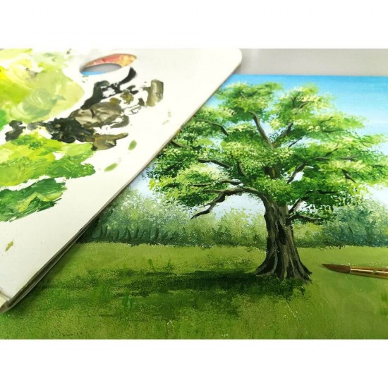 Culori Acrilice Daco, 12 Culori, 20 ml/Tub, Diferite Culori, Multicolor, Vopsea Acrilica, Vopsele Acrilice, Acuarele, Culori pentru Pictat, Culori Pictura, Acuarele pentru Scoala, Set Acuarele Scoala, Culori pentru Desen, Culoare Acril, Set Culori Acril