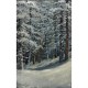 Vopsea Ulei Argintiu DACO, 100 ml, Culoare Ulei, Vopsele Ulei, Acuarele, Culori Ulei, Vopsea Ulei, Culori pentru Pictura, Culori Ulei Argintiu, Vopsele Ulei Argintiu,  Culori de Ulei