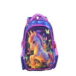 Ghiozdan Gh257 Daco 30 Cm