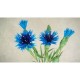 Hartie Creponata Daco, 50x200 Cm, Culoare Albastru Deschis