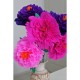 Hartie Creponata DACO, 50x200 cm, 10 Buc/Set, Fucsia, Hartie Creponata, Set Hartie Creponata, Rola Hartie Creponata Colorata, Role Hartie Creponata, Foi Hartie Creponata, Hartie Colorata Creponata, Rechizite Scolare, Papetarie